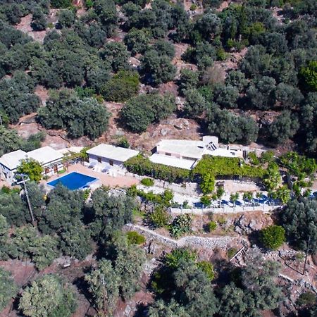 Villa Talos Palaiochora Exteriör bild