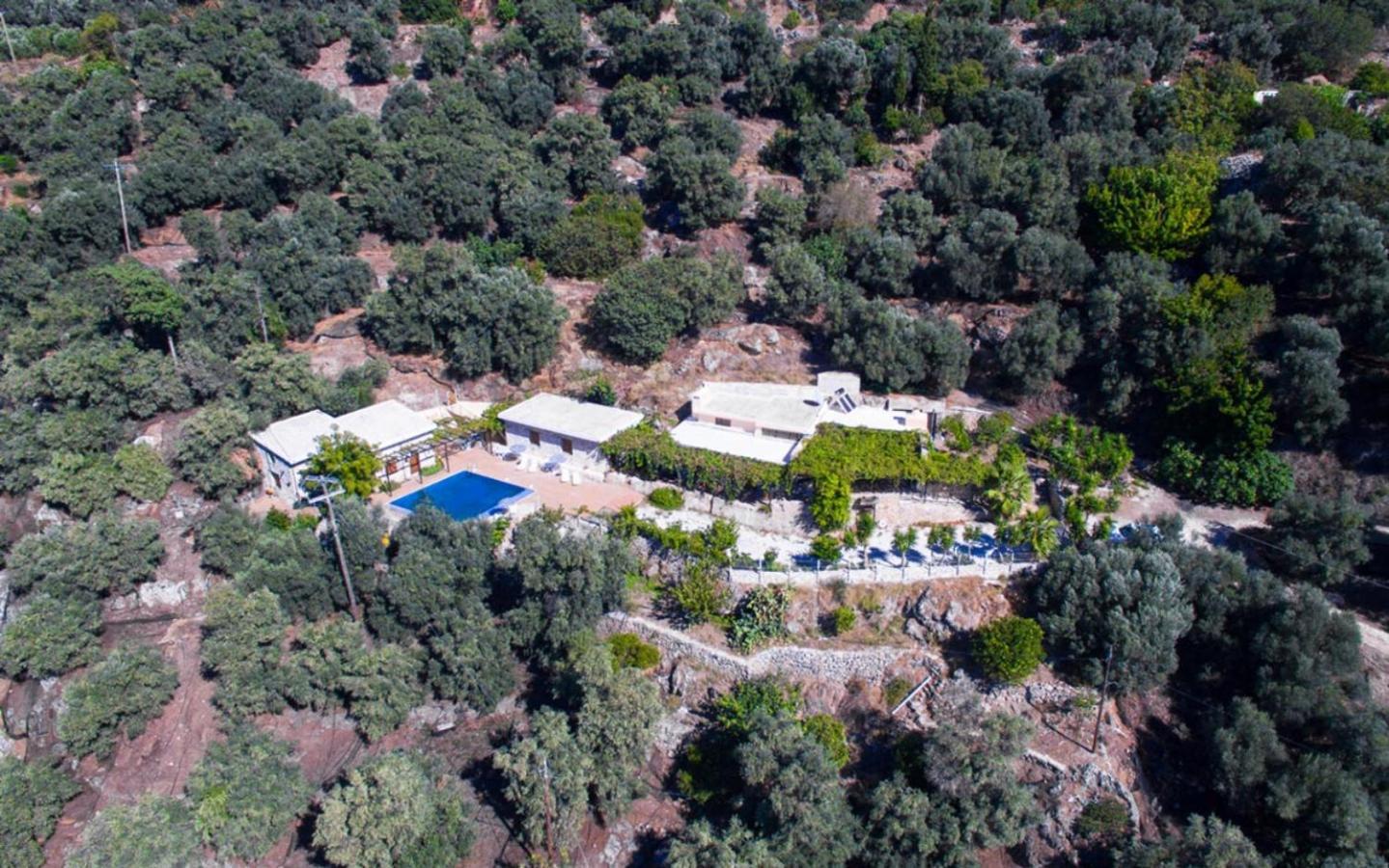 Villa Talos Palaiochora Exteriör bild